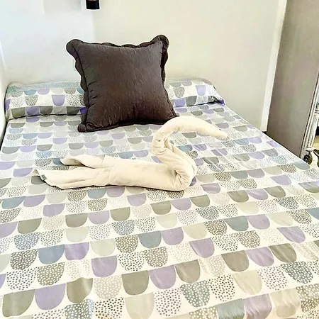 公寓 Apartamento Moderno Y Centrico Con Piscina Y Playa 拉克鲁斯